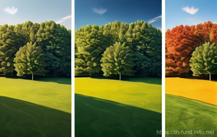 펀드투자상담사 자격증 유지 조건 - Here are three detailed image generation prompts in English, adhering to your guidelines: